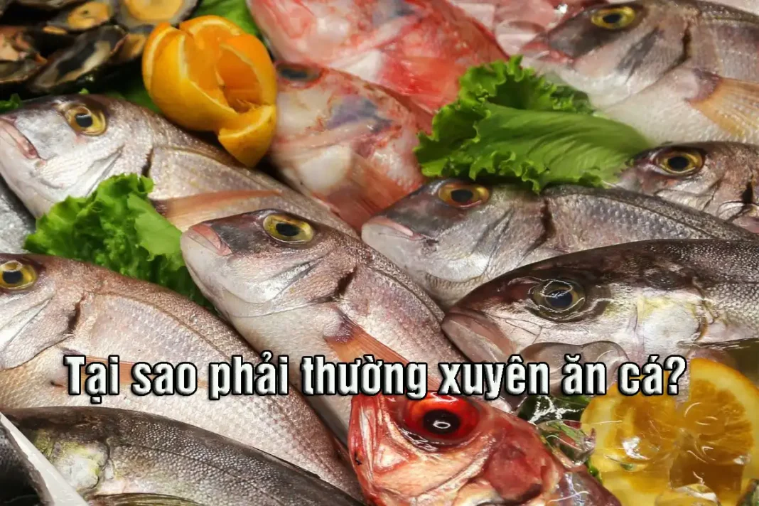 Tại sao phải thường xuyên ăn cá?