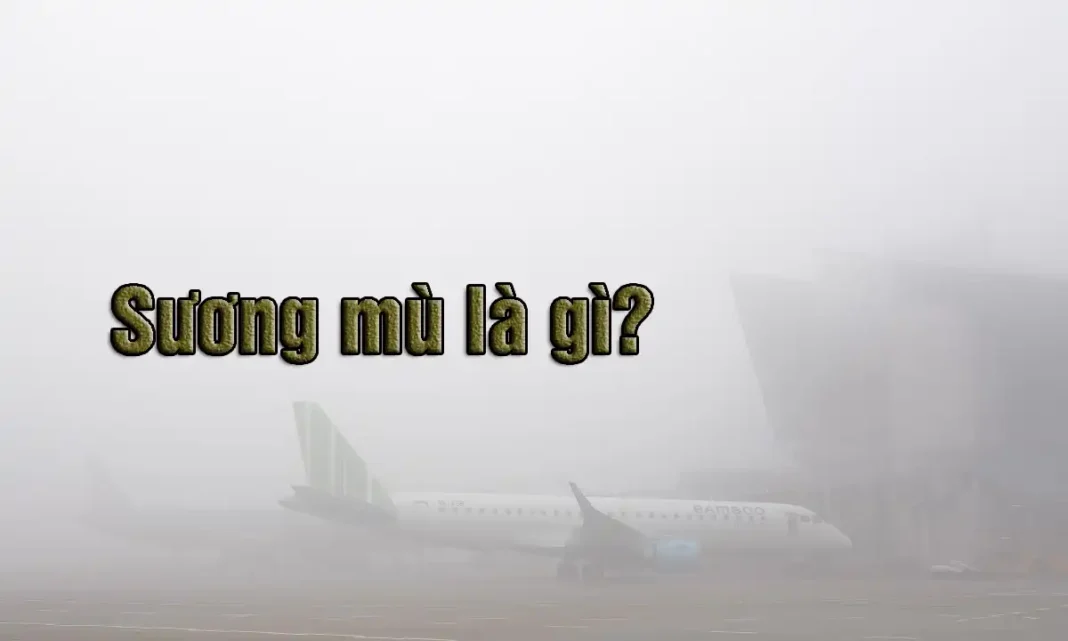 Sương mù là gì?
