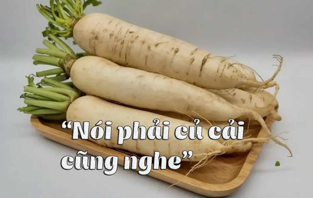 Nói phải củ cải cũng nghe