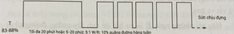 Chạy tốc độ ngưỡng threshold