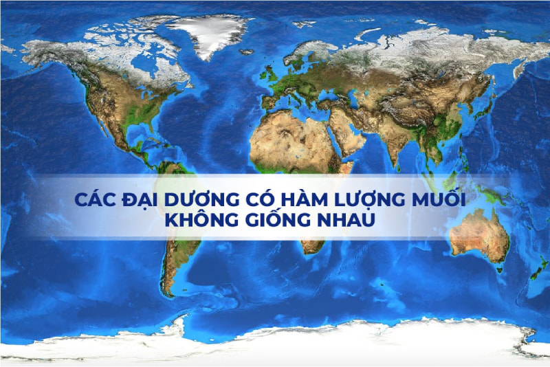 cac-dai-duong-khac-nhau-co-ham-luong-muoi-khac-nhau