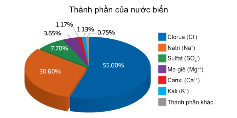 thanh-phan-cua-nuoc-bien