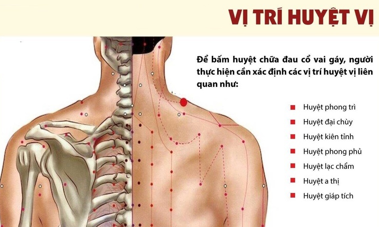 Massage bấm huyệt hay xoa bóp bấm huyệt là một phương pháp trị liệu kỹ thuật thay thế y học hiện đại. Khi tác động vào các huyệt, kinh lạc có thể loại bỏ được ngoại tà, điều hòa dinh vệ, thông kinh hoạt lạc và góp phần điều hòa các chức năng tạng phủ được thực hiện bằng tay, khuỷu tay hoặc bằng các thiết bị khác nhau.