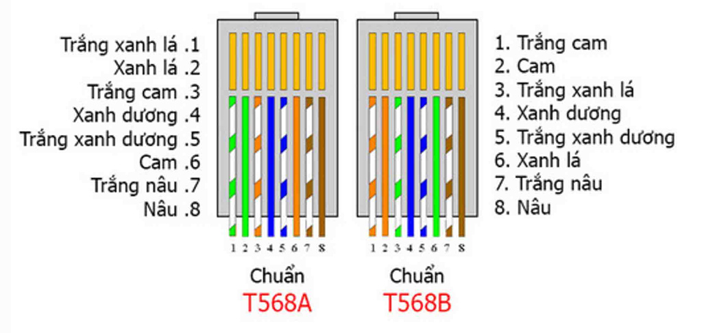 Tiêu chuẩn bấm đầu RJ45