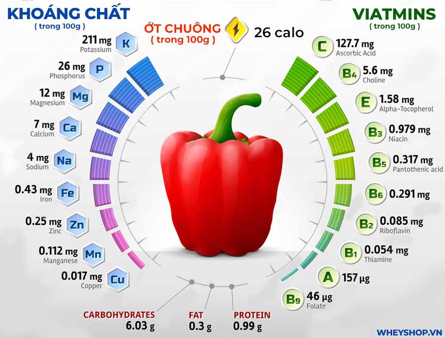 Ớt chuông hay còn gọi là ớt ngọt là loại thực phẩm quen thuộc với bất kỳ chế độ ăn nào. Vậy ăn ớt chuông có tốt không ? Ai không nên ăn ớt chuông? Cùng...