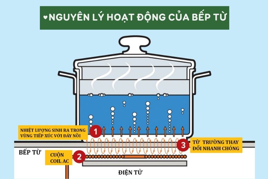 Nguyên lý hoạt động của bếp từ