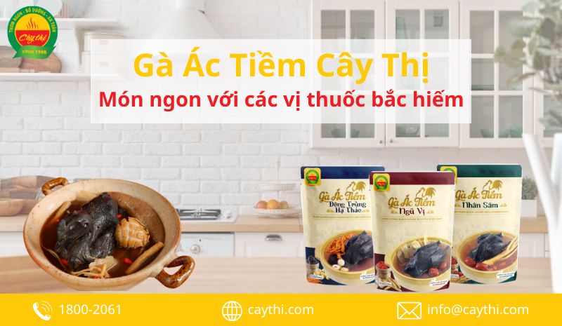 gà ác tiềm cây thị