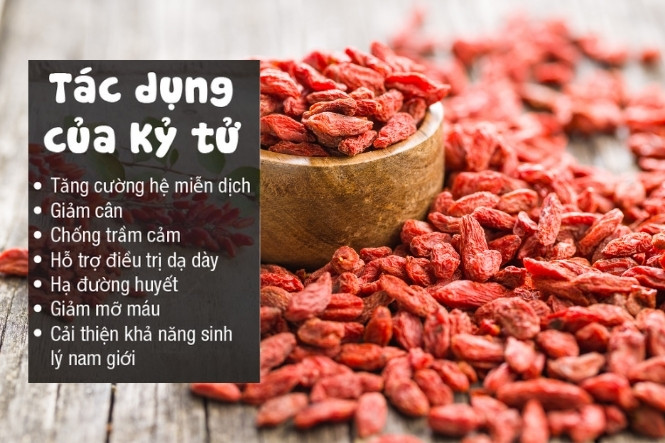 Tác dụng của kỷ tử và táo tàu