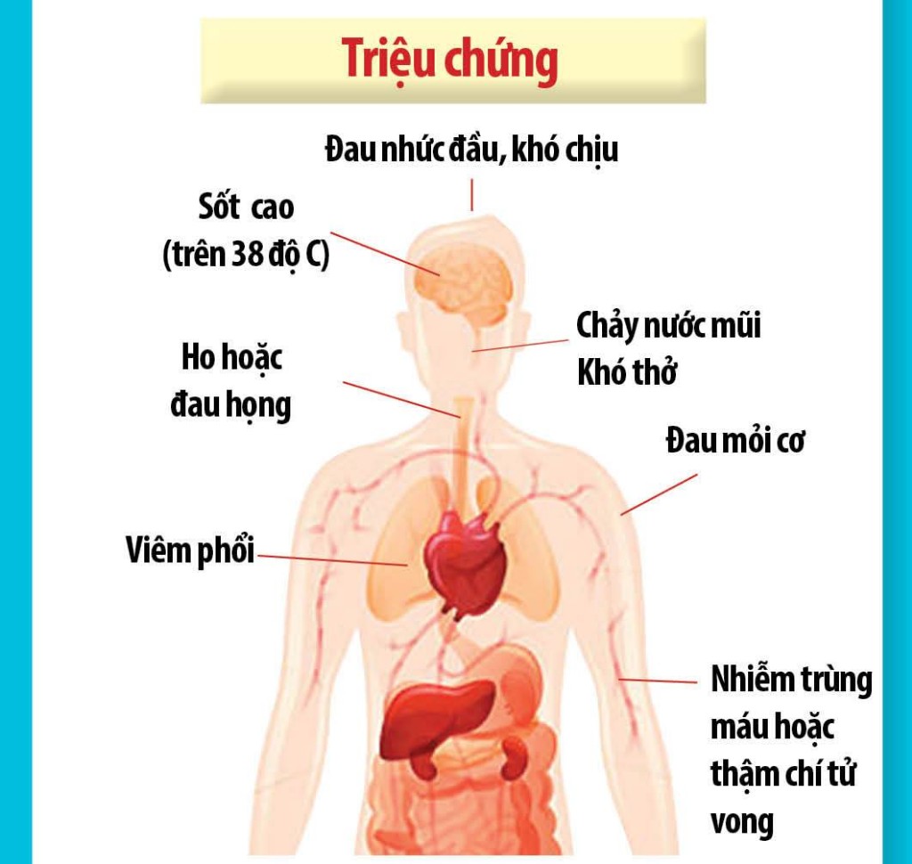 Triệu chứng covid 19