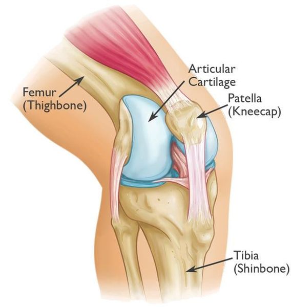 Đau xương bánh chè đầu gối