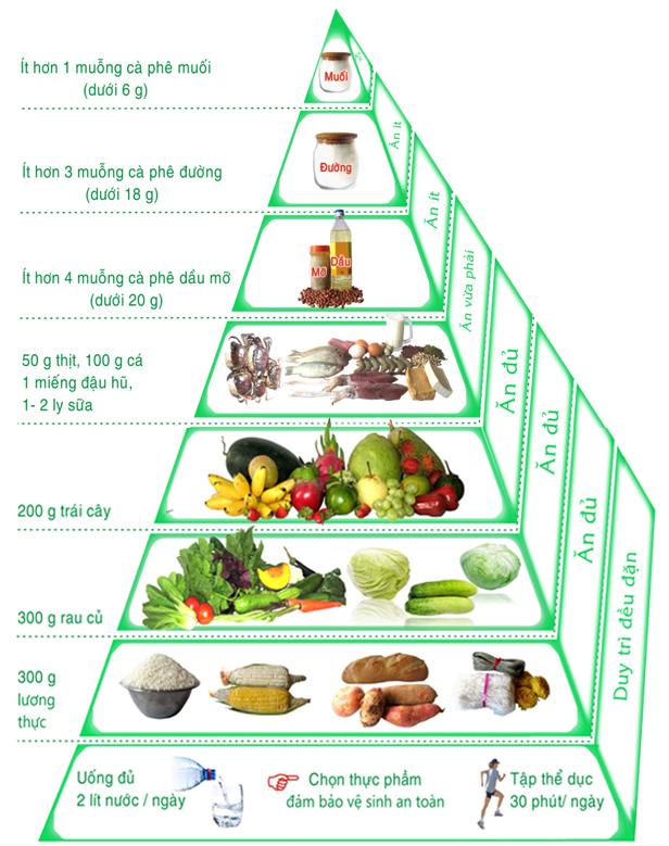 Tháp dinh dưỡng cân đối hàng ngày