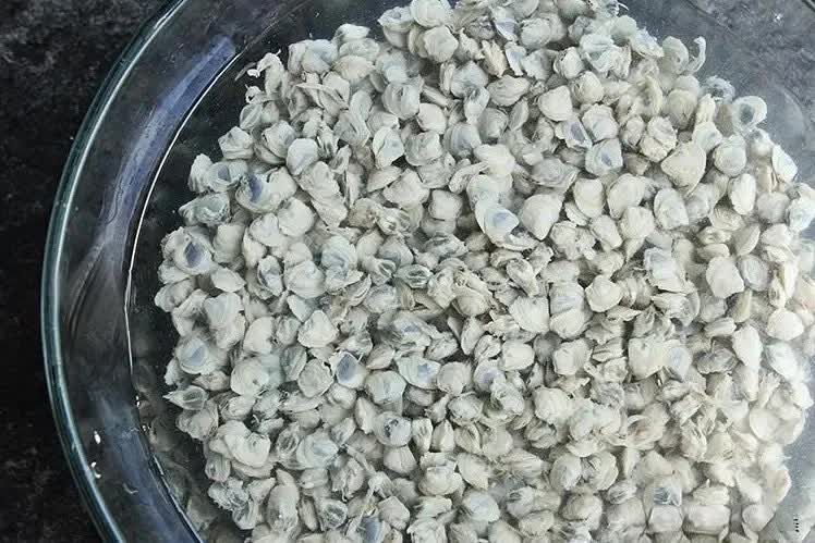 Bữa cơm mùa hè làm ngay món này: Vừa rẻ tiền, ngon miệng lại giúp thanh nhiệt, giải độc, làm trắng da và tăng sức đề kháng - Ảnh 2. Bữa cơm mùa hè làm ngay món này: Vừa rẻ tiền, ngon miệng lại giúp thanh nhiệt, giải độc, làm trắng da và tăng sức đề kháng - Ảnh 2.