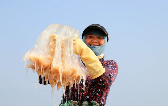 Ngư dân cắt nhỏ sứa trộn với cát biển, dân tình phẫn nộ vì 'mất vệ sinh', nghe giải thích mới ngỡ ngàng - Ảnh 1.